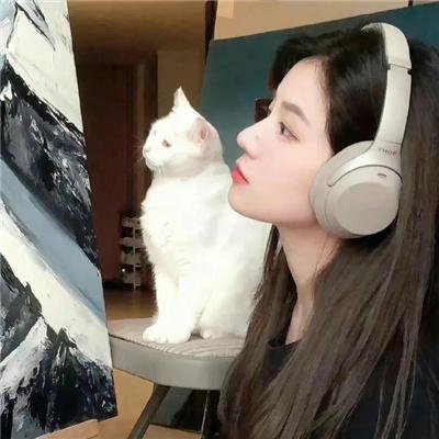 宠物情人